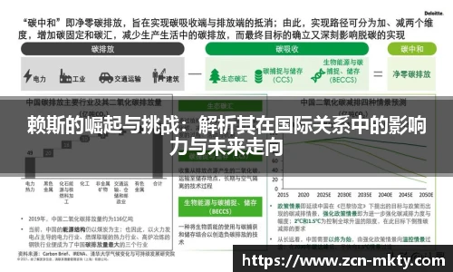 赖斯的崛起与挑战：解析其在国际关系中的影响力与未来走向